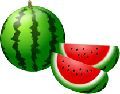 watermelon01-003.jpg